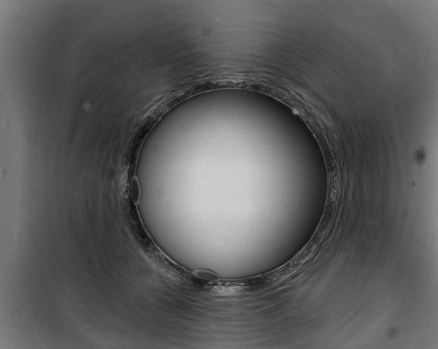 X0000100840560200806200741