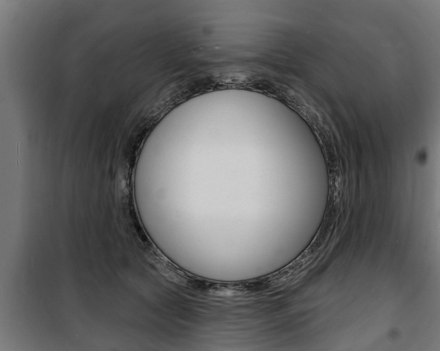 X0000100840561200806200741