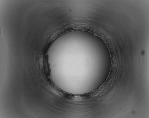 X0000100840562200806200741