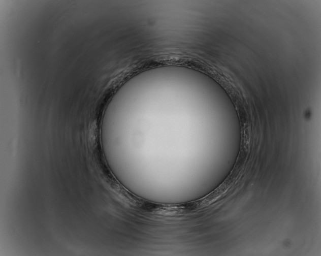 X0000100840563200806200741