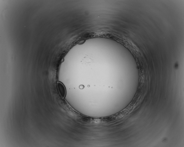 X0000100840565200806200741