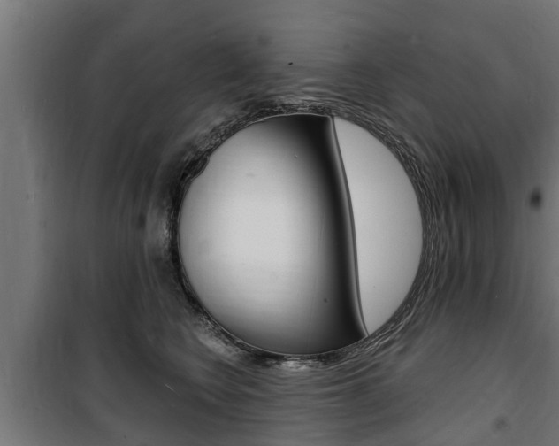 X0000100840566200806200741