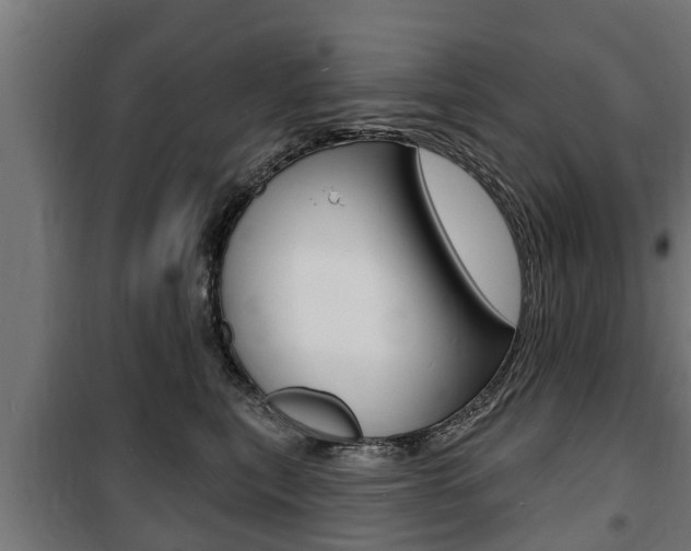 X0000100840567200806200741