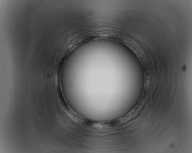 X0000100840568200806200741