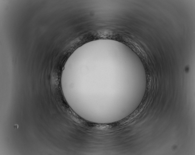 X0000100840569200806200741