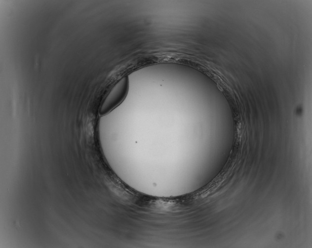 X0000100840570200806200741