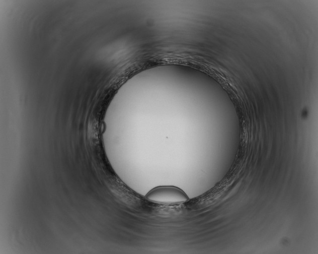 X0000100840571200806200741