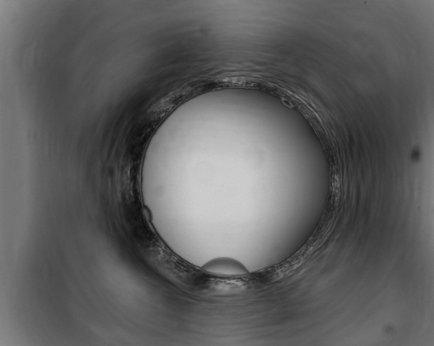 X0000100840572200806200741