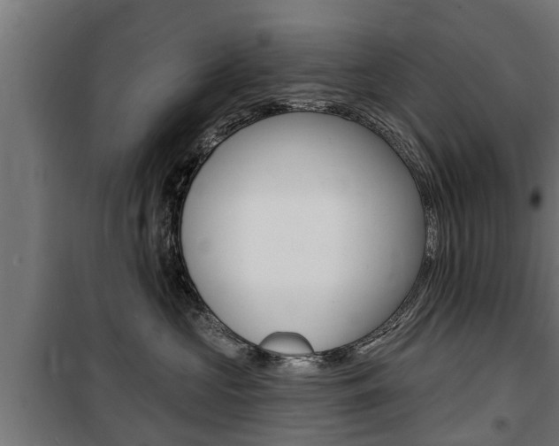 X0000100840573200806200741