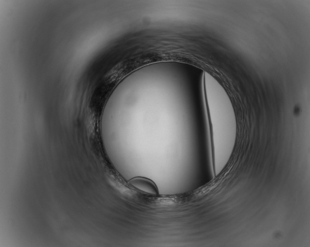 X0000100840574200806200741