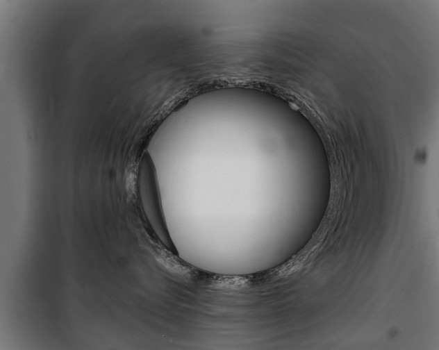 X0000100840576200806200741