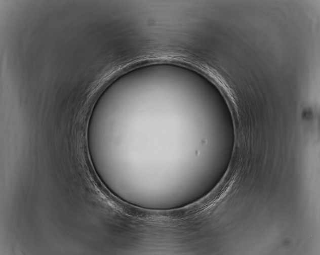 X0000100840577200806200740