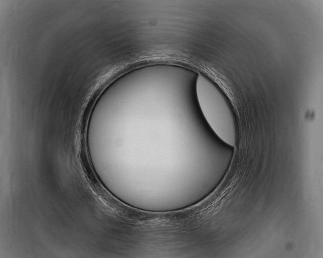 X0000100840578200806200740