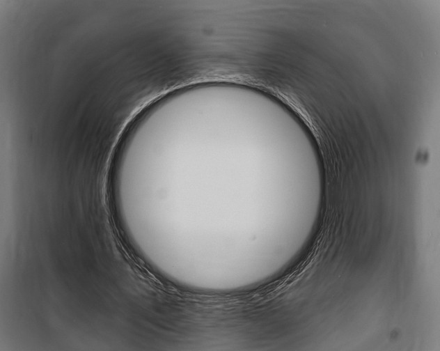 X0000100840579200806200740