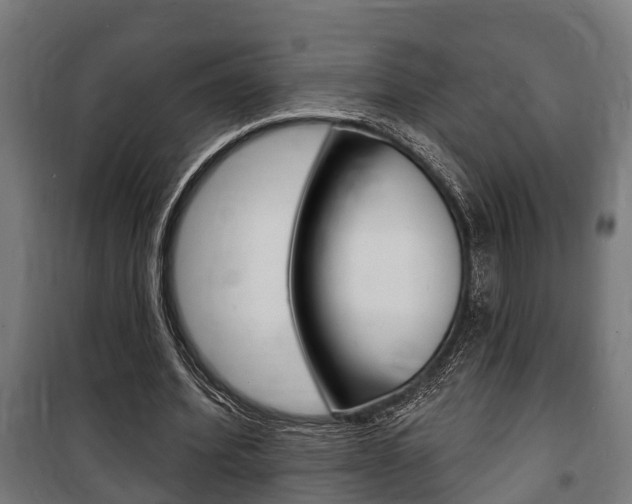 X0000100840580200806200740