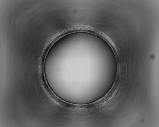 X0000100840581200806200740