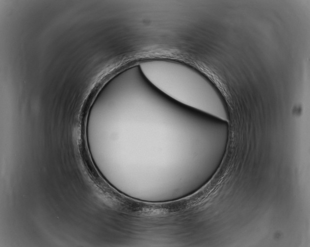 X0000100840582200806200740