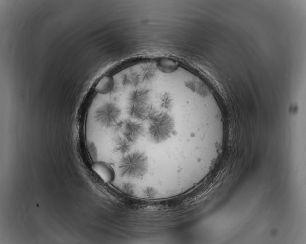 X0000100840584200806200740