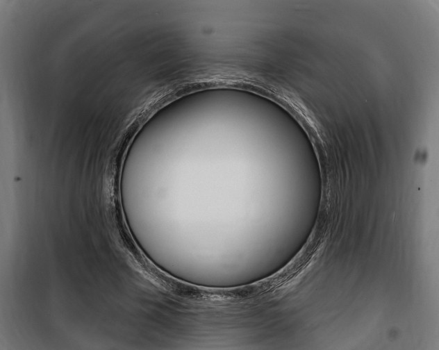 X0000100840585200806200740