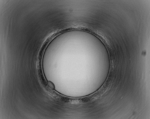 X0000100840587200806200740