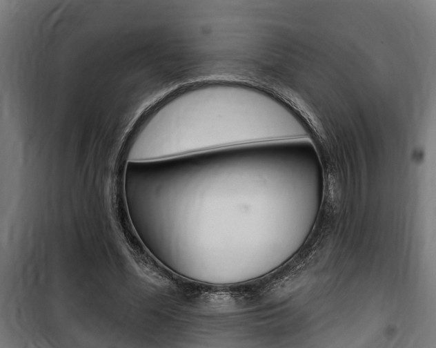 X0000100840588200806200740