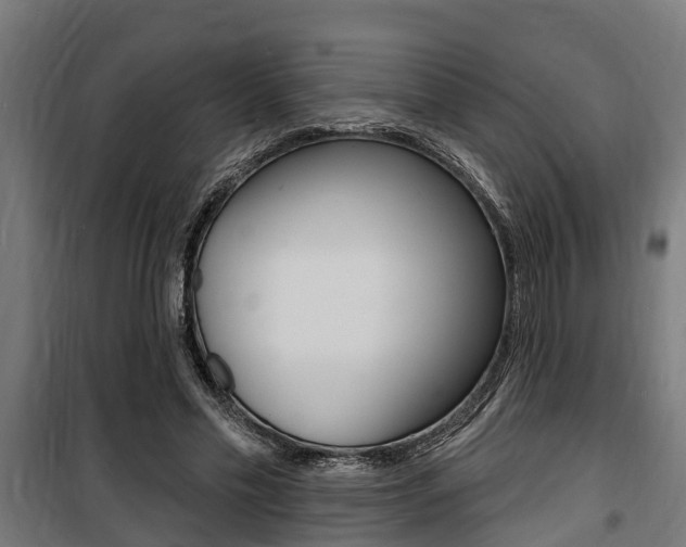 X0000100840589200806200740