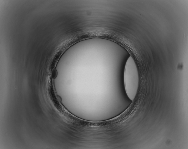 X0000100840590200806200740