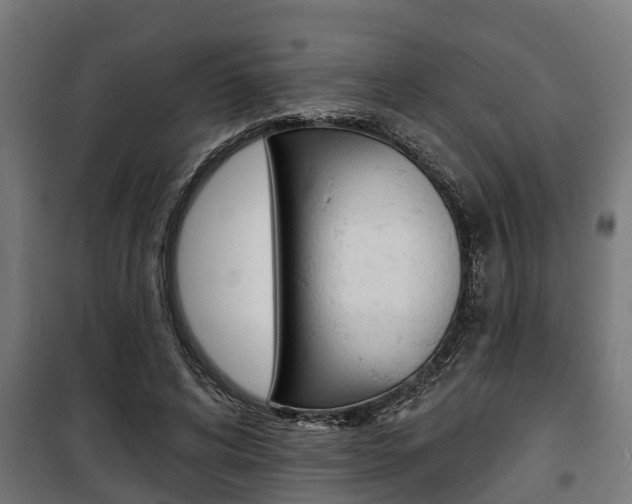 X0000100840592200806200740