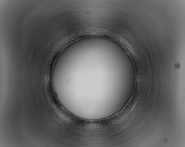 X0000100840593200806200740