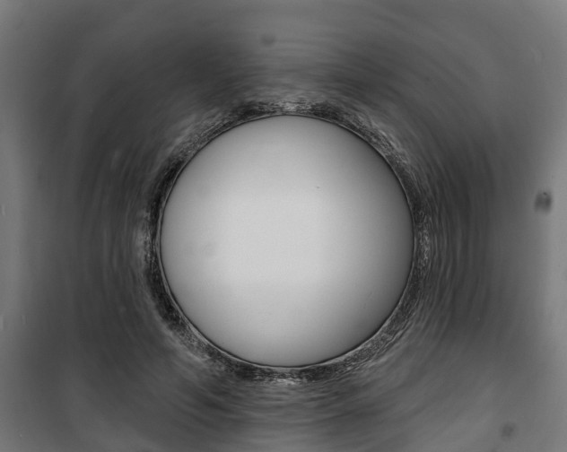 X0000100840594200806200740