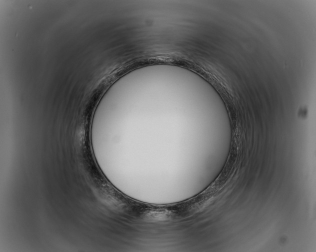 X0000100840595200806200740