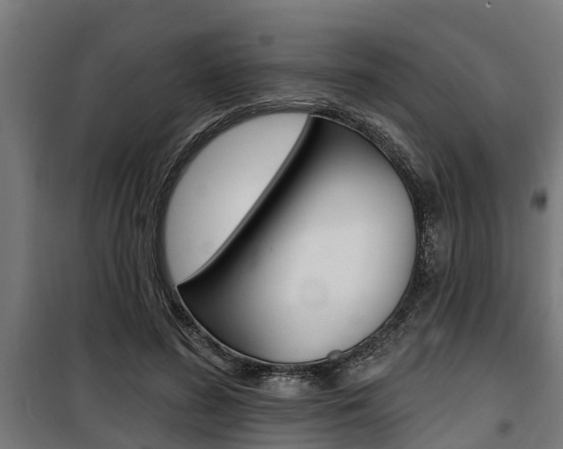 X0000100840596200806200740