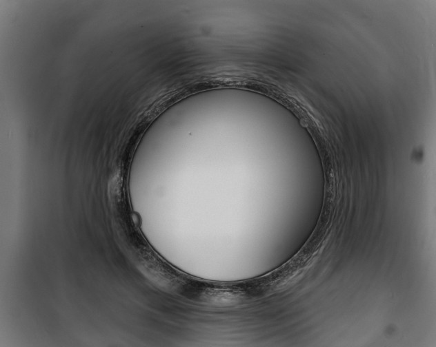 X0000100840597200806200740