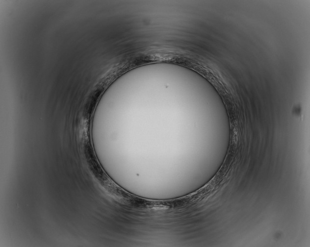 X0000100840598200806200740