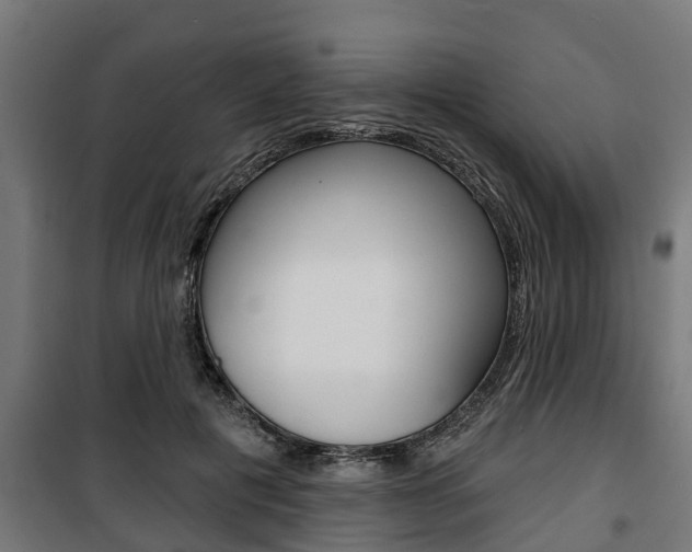 X0000100840601200806200740