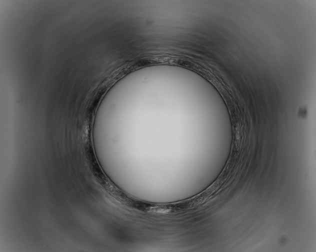 X0000100840602200806200740