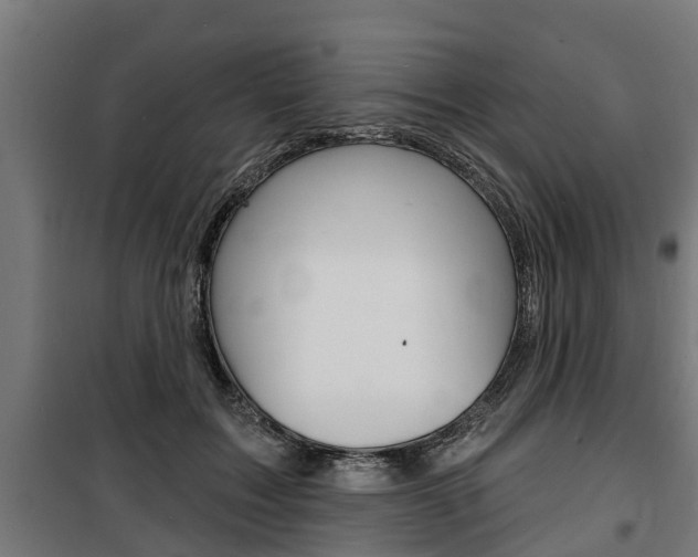 X0000100840603200806200740