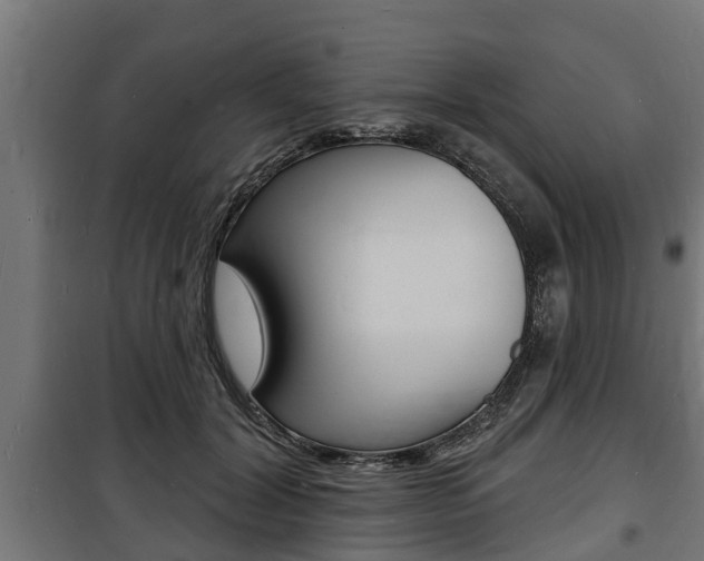 X0000100840604200806200740