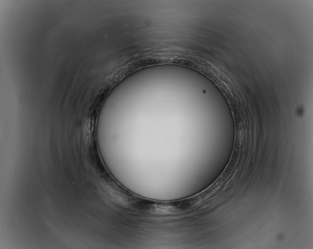 X0000100840605200806200740