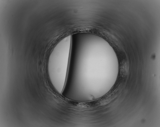 X0000100840608200806200740