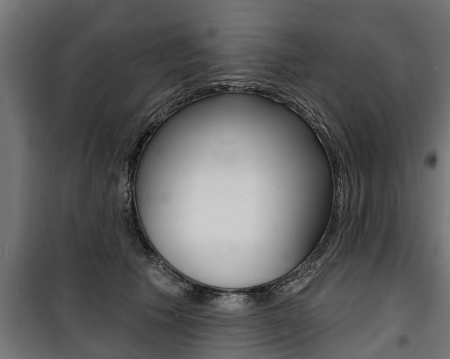 X0000100840609200806200740