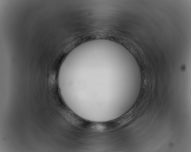 X0000100840610200806200740