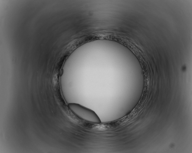 X0000100840611200806200740