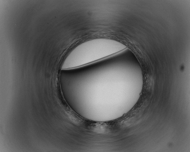 X0000100840612200806200740