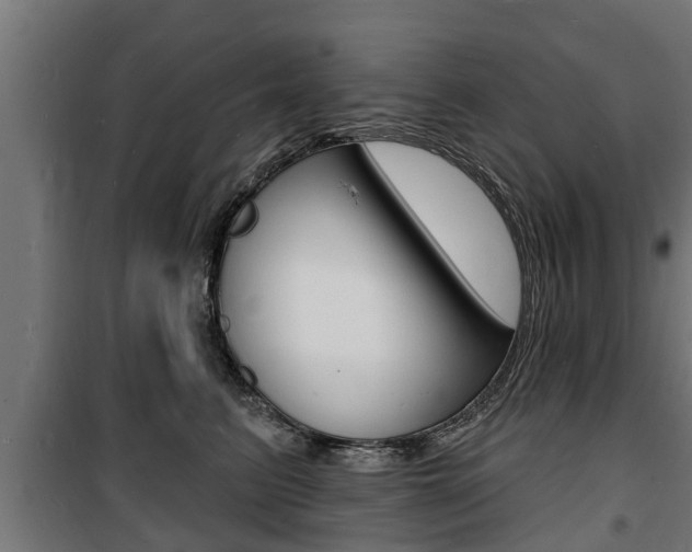 X0000100840615200806200740