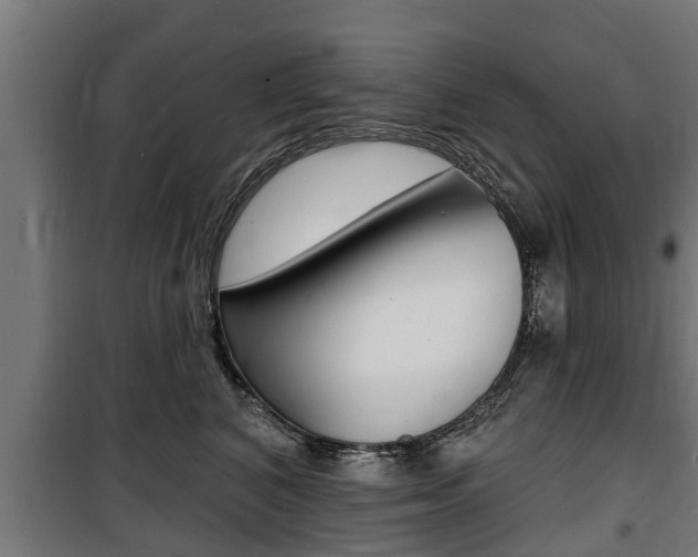 X0000100840616200806200740