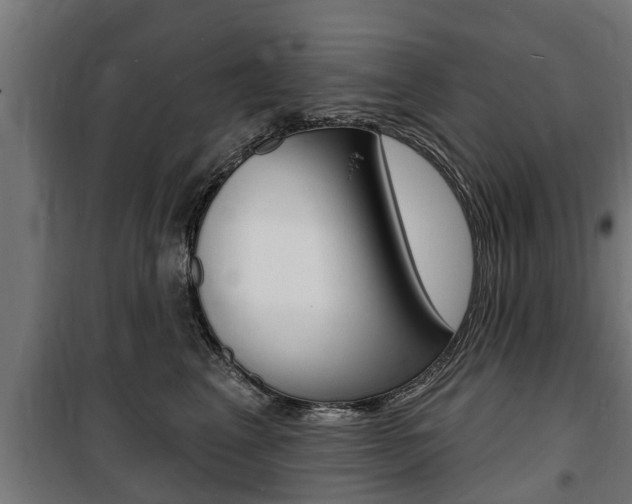 X0000100840617200806200740