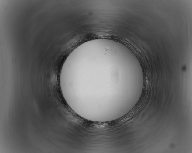 X0000100840618200806200740