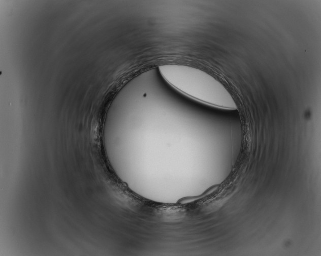 X0000100840619200806200740