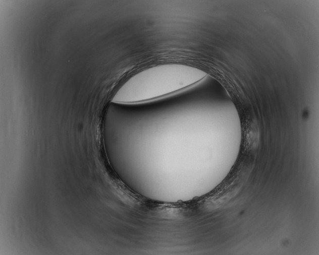 X0000100840620200806200740